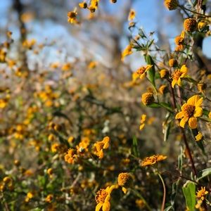 Meet your Posher, Jess